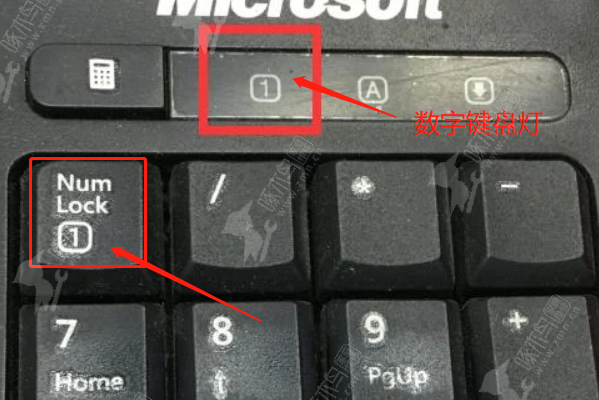 电脑右边的数字键盘用不了了怎么回事