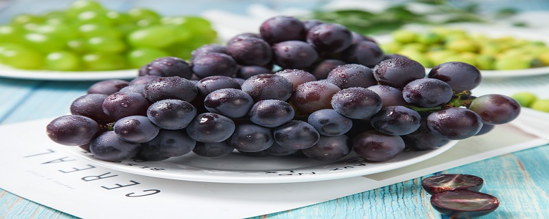 葡萄可以放冰箱冷藏吗？葡萄能否放冰箱冷藏？